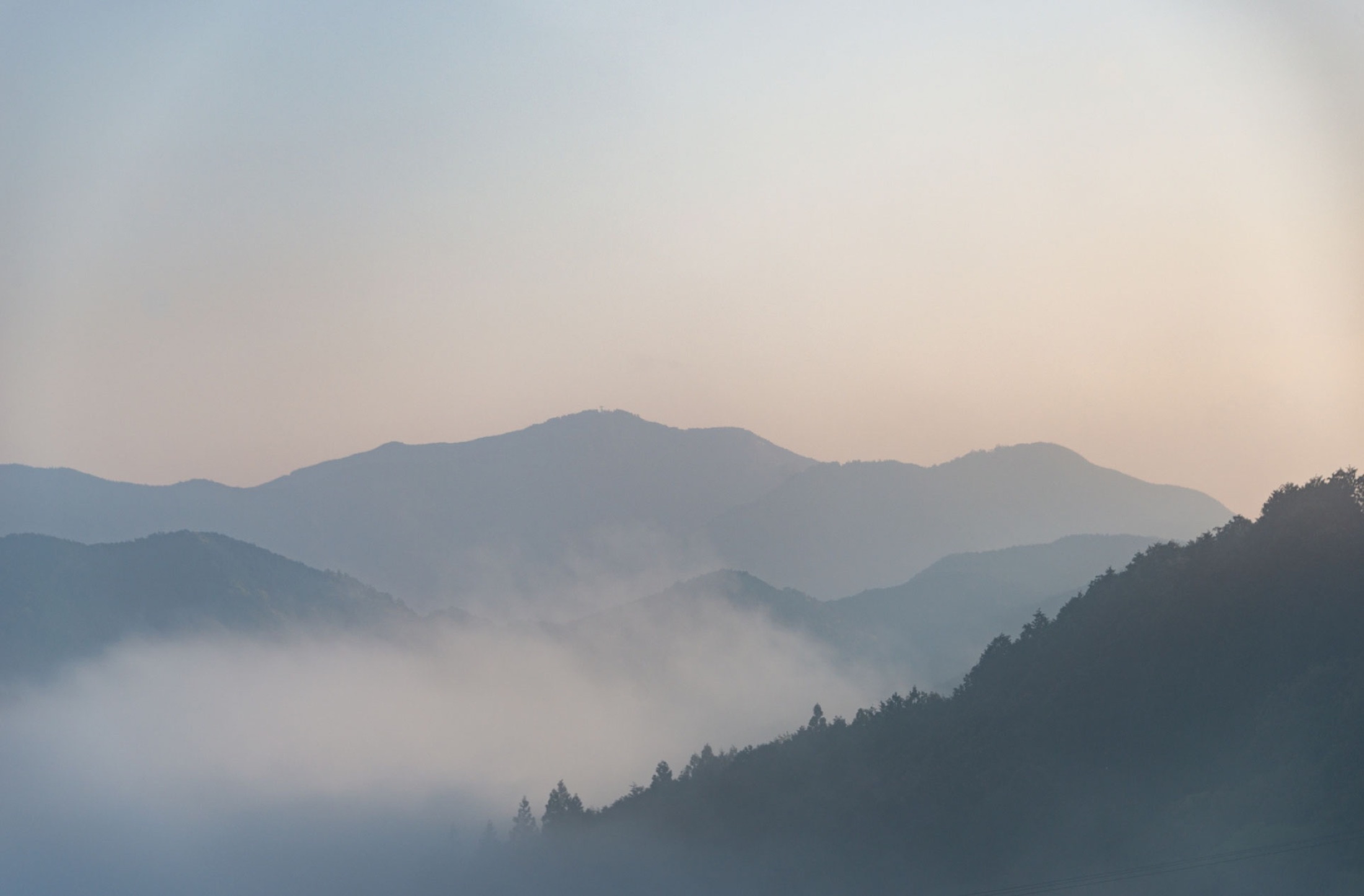 和歌山の山と地域の現場
